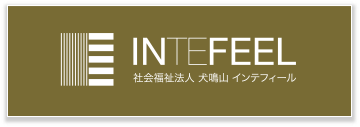 INTEFEEL